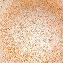 Live Baby Brine Shrimp (per bag) - Fresh N Marine