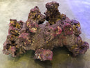CaribSea Life Rock Shapes & Branch - Fresh N Marine
