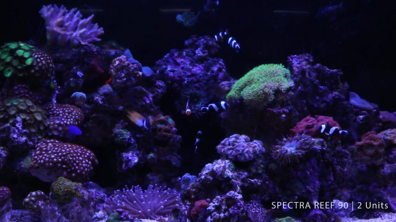 AquaZonic Spectra Reef LED - Fresh N Marine