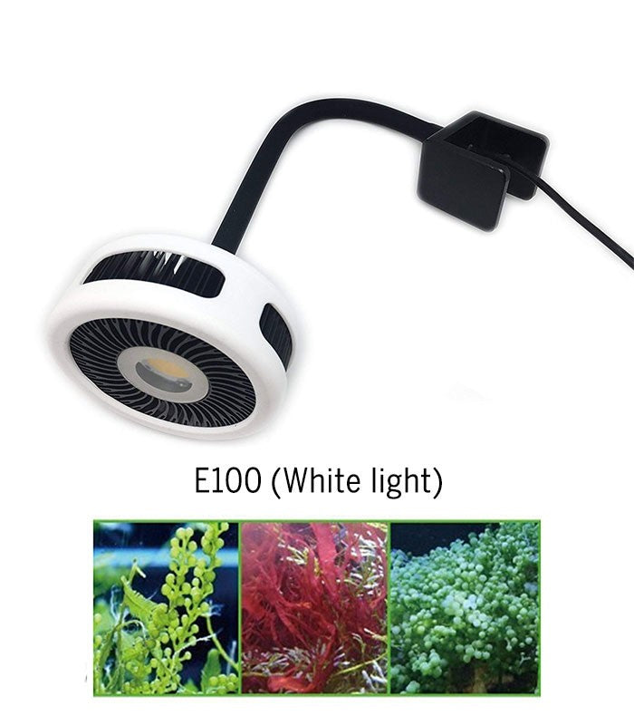 ZETLIGHT E100 Algae Light 12W (WHITE LED) - Fresh N Marine